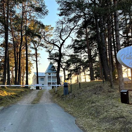 Vallery Guest House Bigauņciems Buitenkant foto